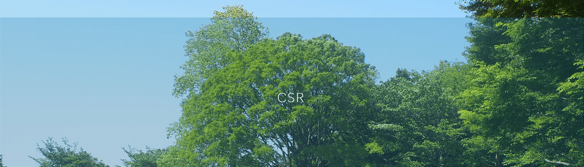CSR